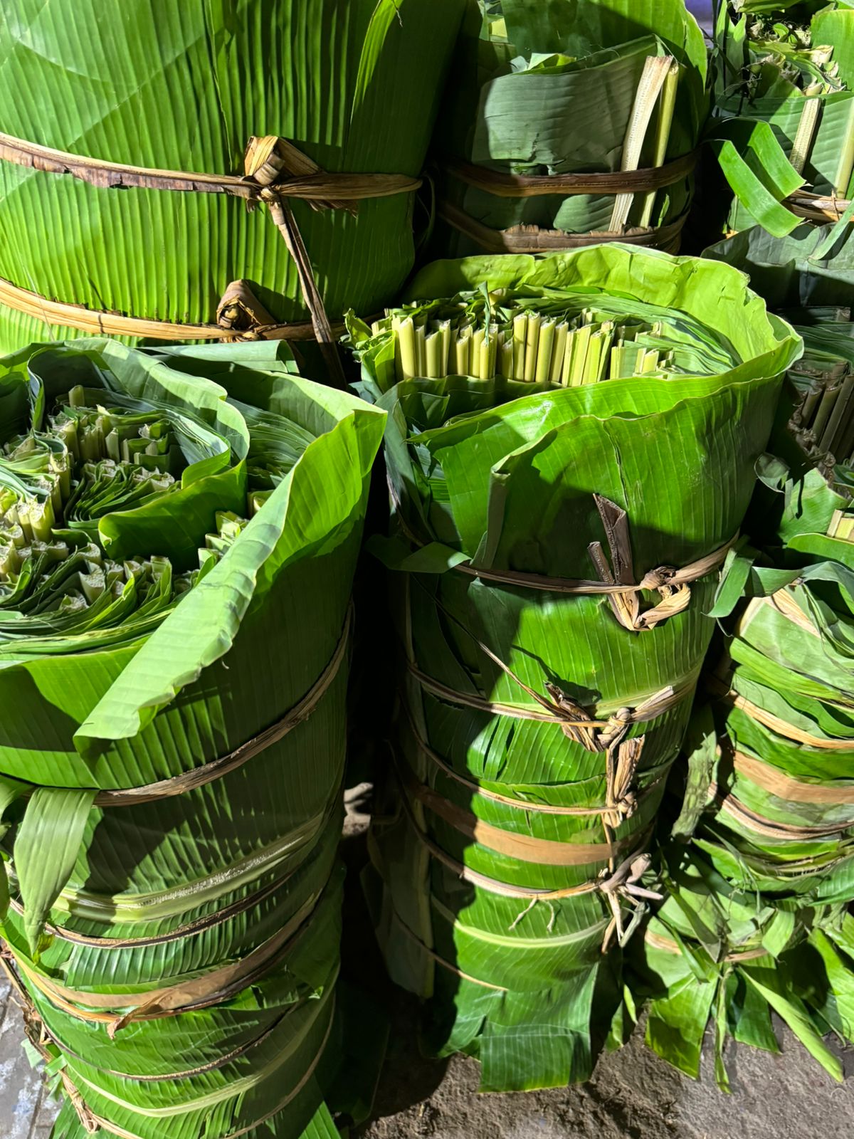Banana leaf process 6
