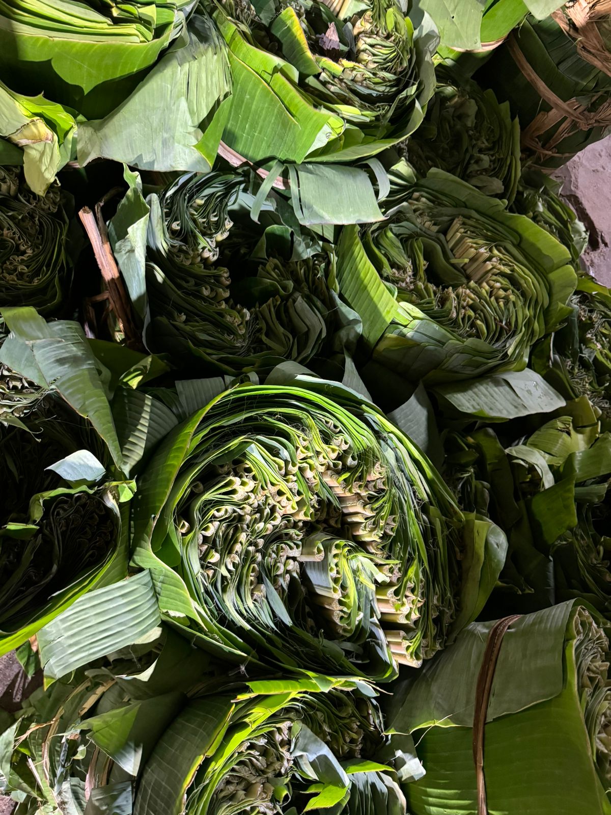 Banana leaf process 7